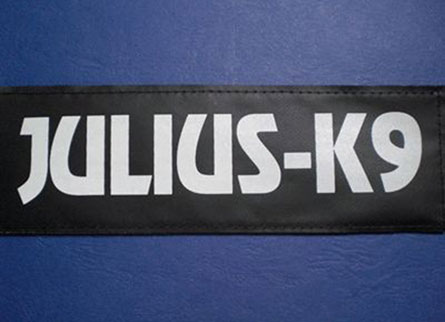 パッチ Julius-K9